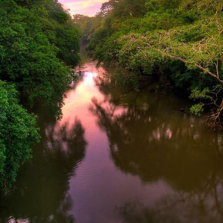 فندق La Selva Biological Station Sarapiquí المظهر الخارجي الصورة