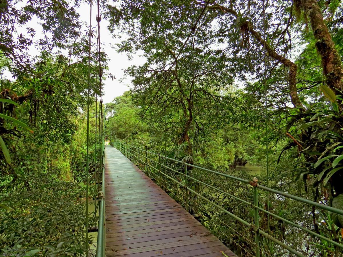 فندق La Selva Biological Station Sarapiquí المظهر الخارجي الصورة