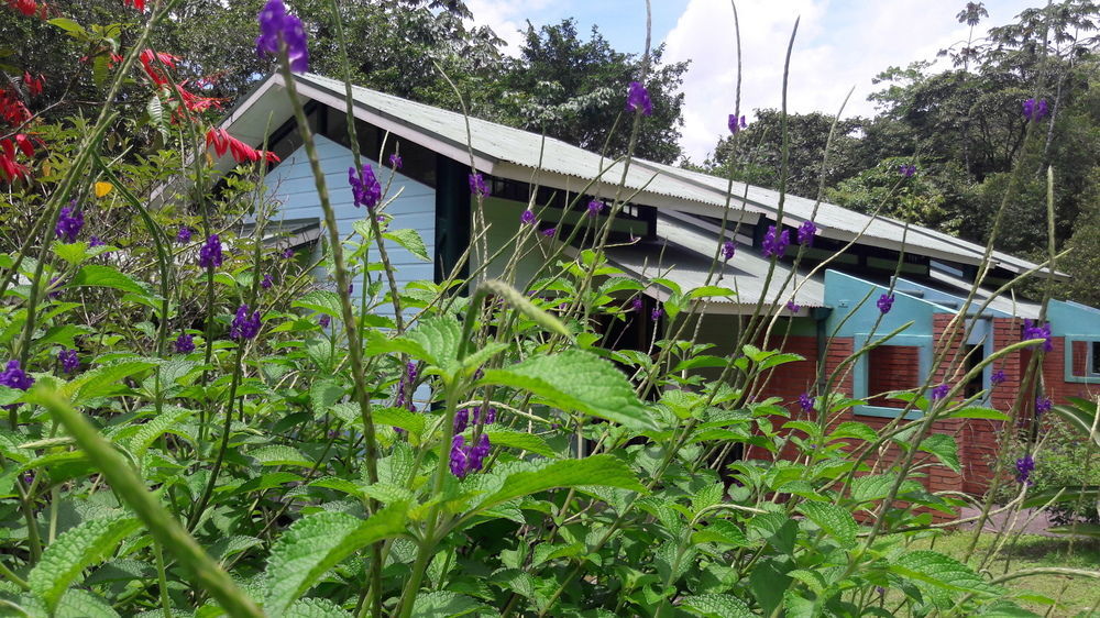 فندق La Selva Biological Station Sarapiquí المظهر الخارجي الصورة
