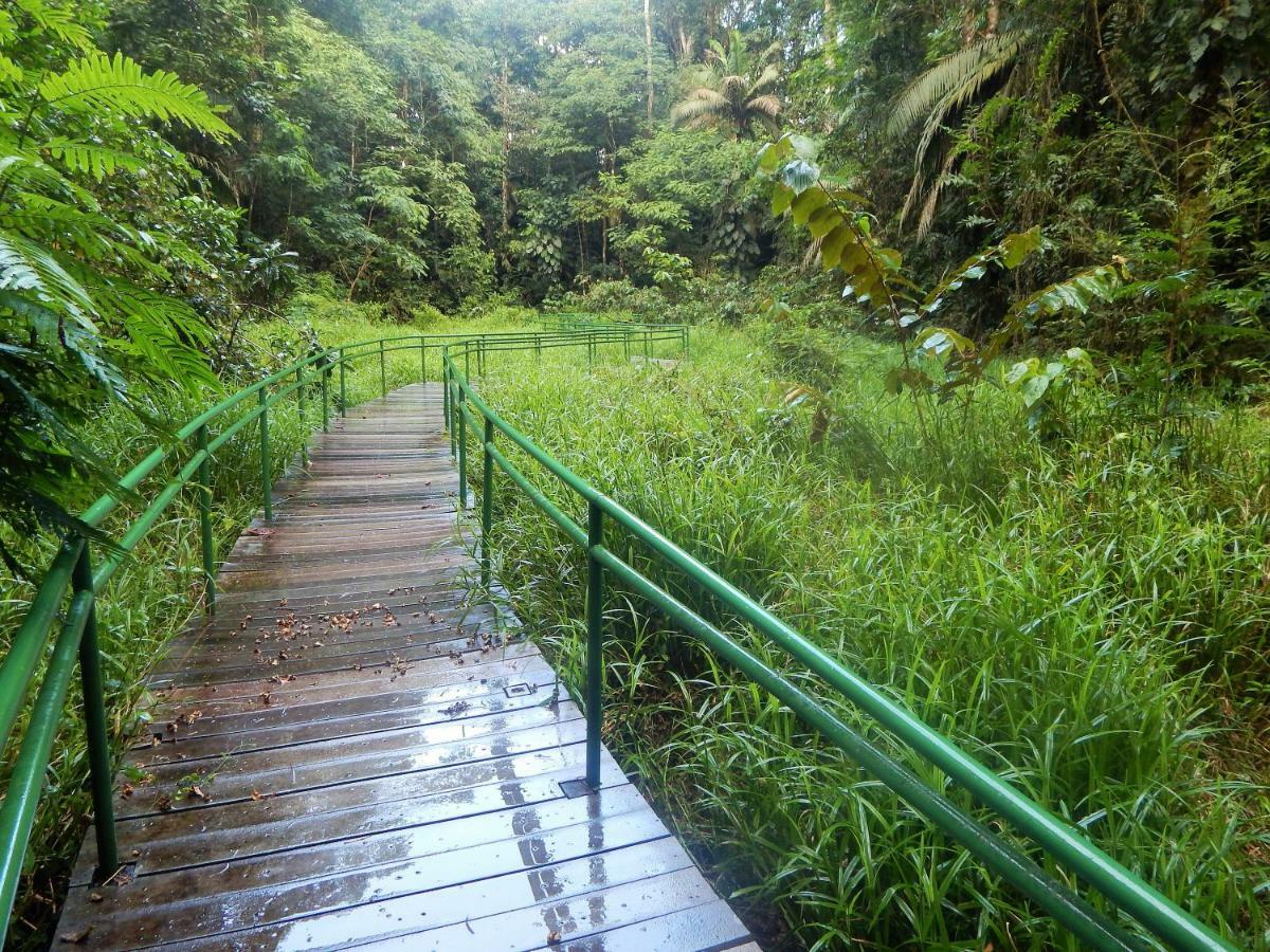 فندق La Selva Biological Station Sarapiquí المظهر الخارجي الصورة