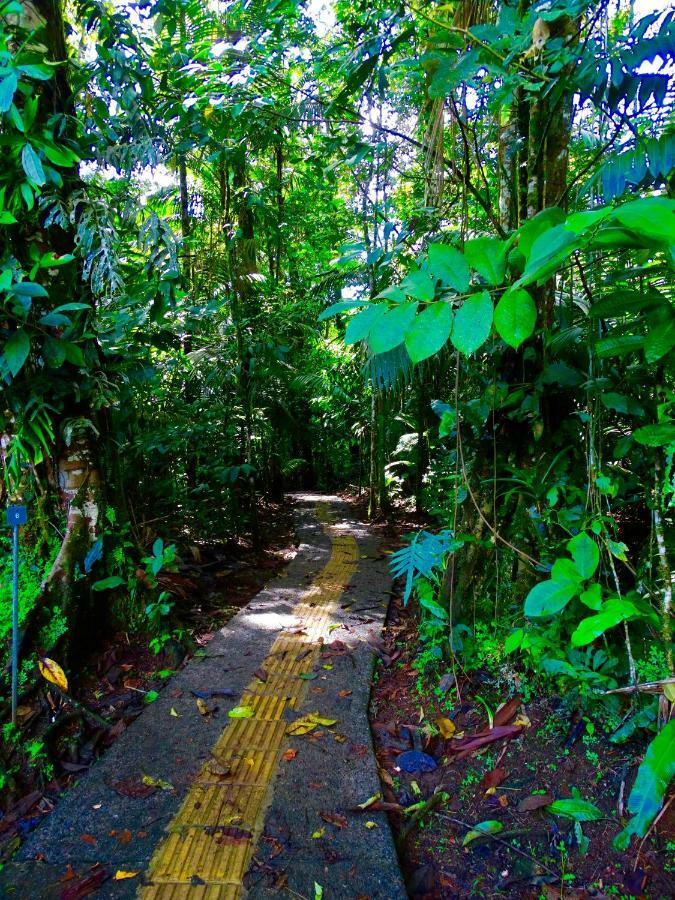 فندق La Selva Biological Station Sarapiquí المظهر الخارجي الصورة