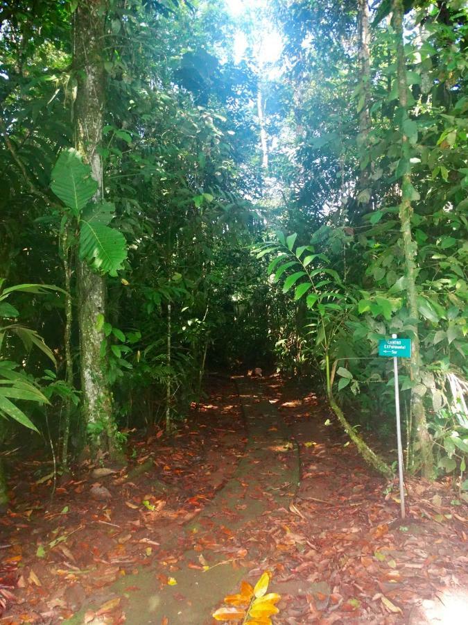 فندق La Selva Biological Station Sarapiquí المظهر الخارجي الصورة