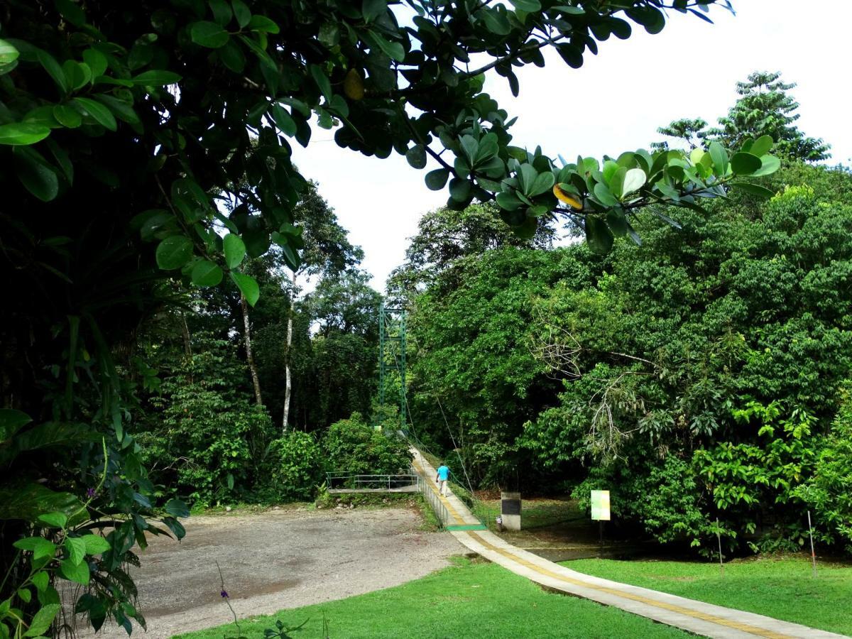 فندق La Selva Biological Station Sarapiquí المظهر الخارجي الصورة