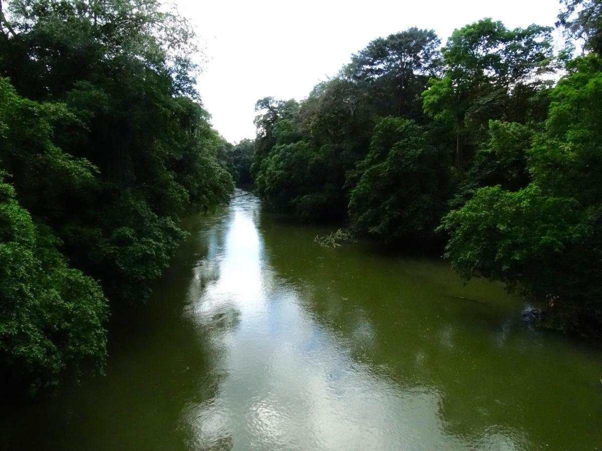 فندق La Selva Biological Station Sarapiquí المظهر الخارجي الصورة