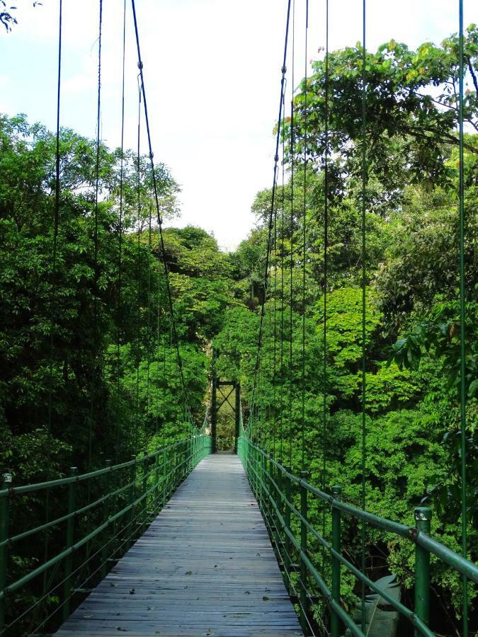 فندق La Selva Biological Station Sarapiquí المظهر الخارجي الصورة