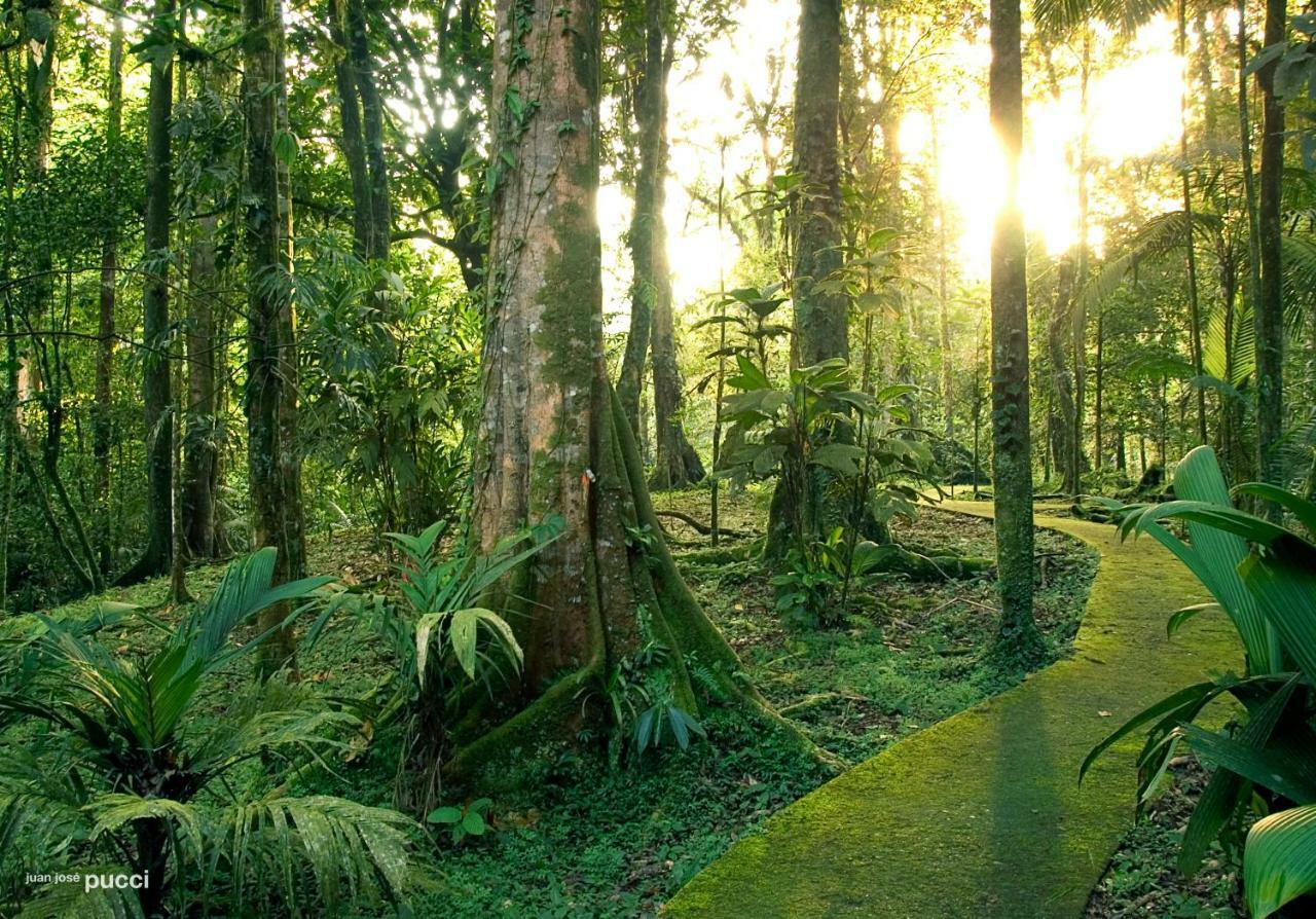 فندق La Selva Biological Station Sarapiquí المظهر الخارجي الصورة
