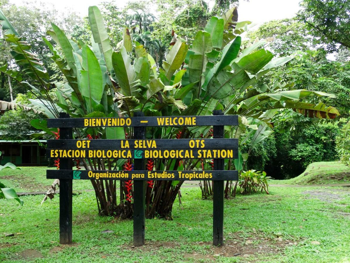 فندق La Selva Biological Station Sarapiquí المظهر الخارجي الصورة