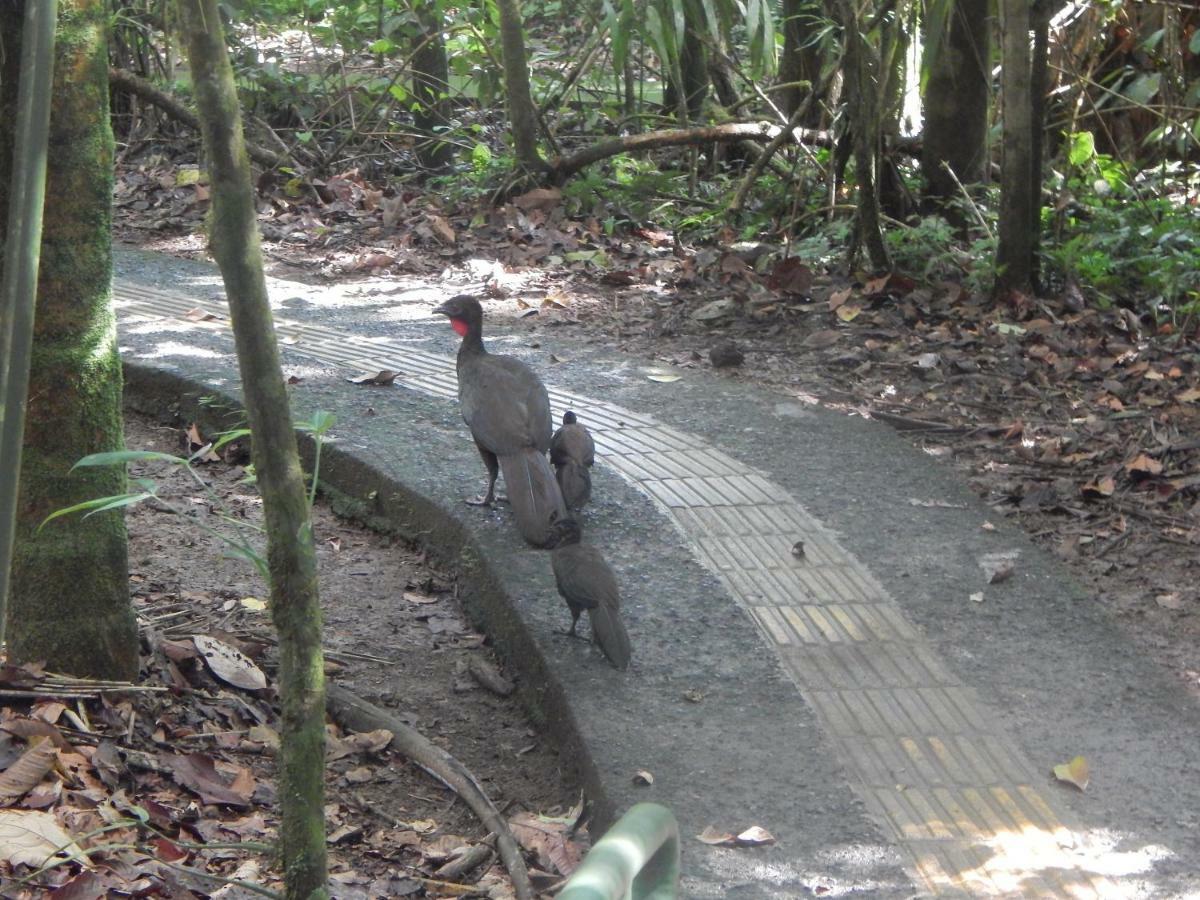 فندق La Selva Biological Station Sarapiquí المظهر الخارجي الصورة