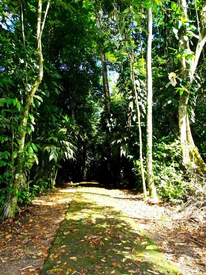 فندق La Selva Biological Station Sarapiquí المظهر الخارجي الصورة