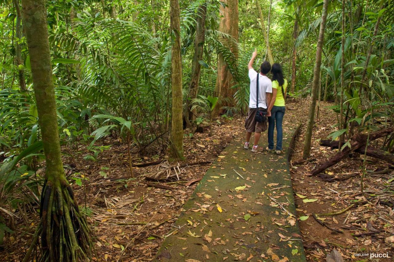 فندق La Selva Biological Station Sarapiquí المظهر الخارجي الصورة