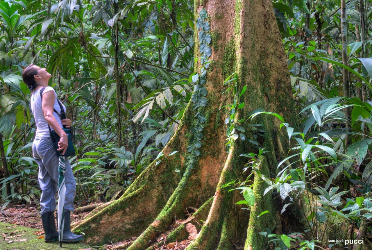 فندق La Selva Biological Station Sarapiquí المظهر الخارجي الصورة